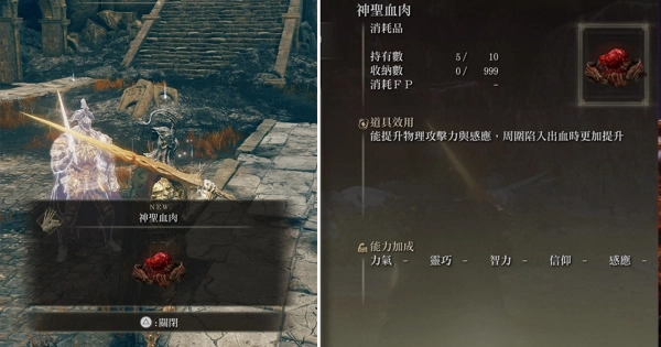 《艾爾登法環 DLC 黃金樹幽影》攻略:增加攻擊力與出血之超強稀有道具「神聖血肉」獲得法