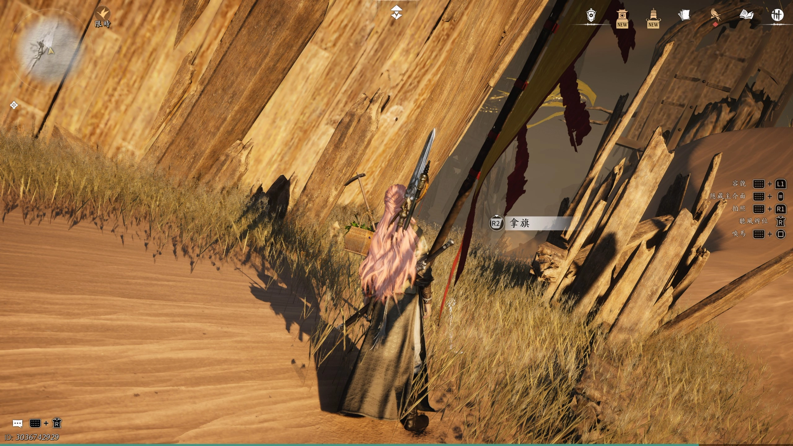 第二十三鎮軍旗