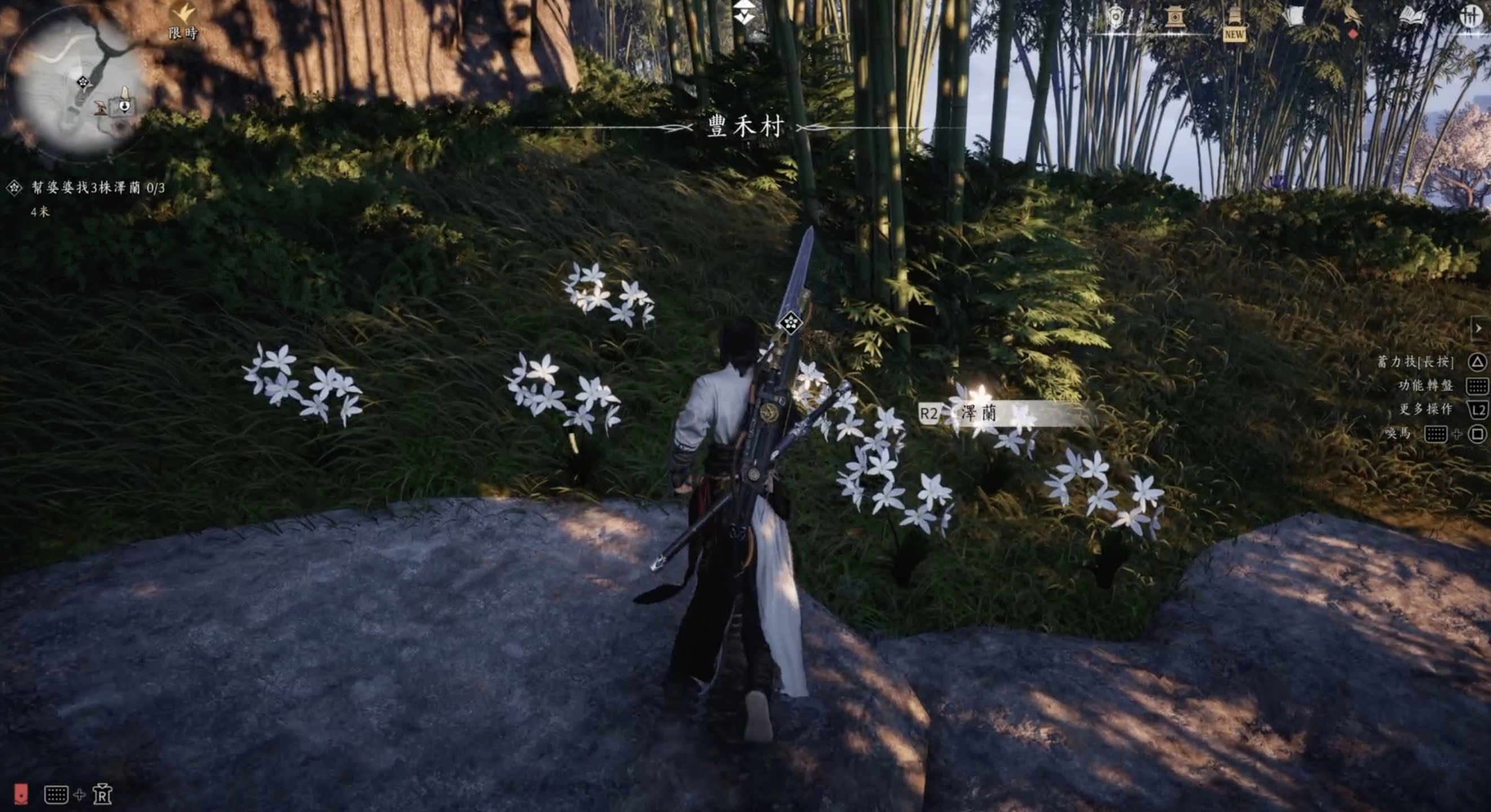 澤香三株在附近就可以採取獲得