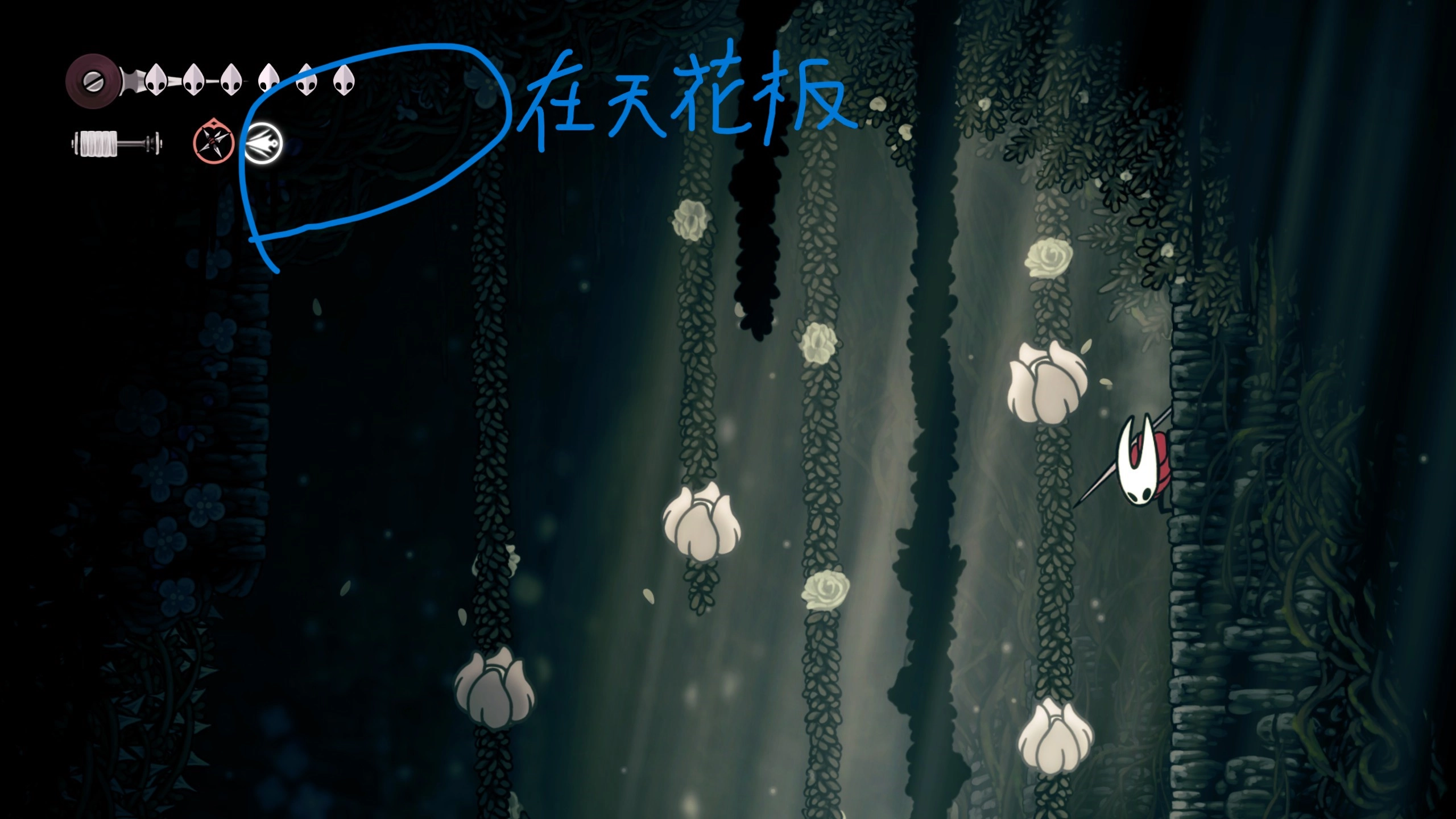花芯3 在天花板