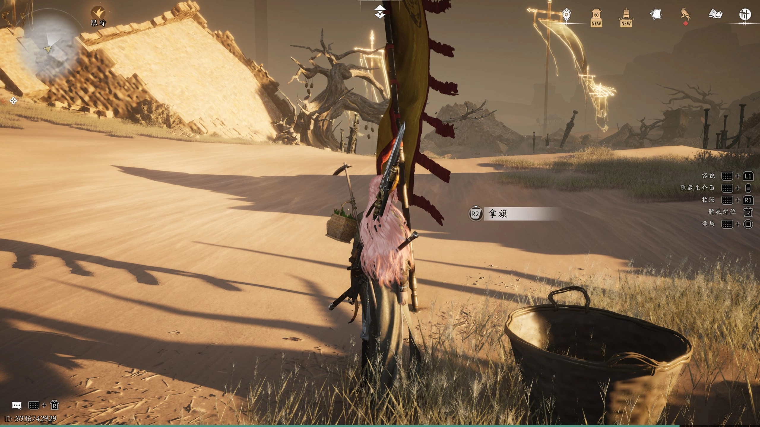 第二十五鎮軍旗