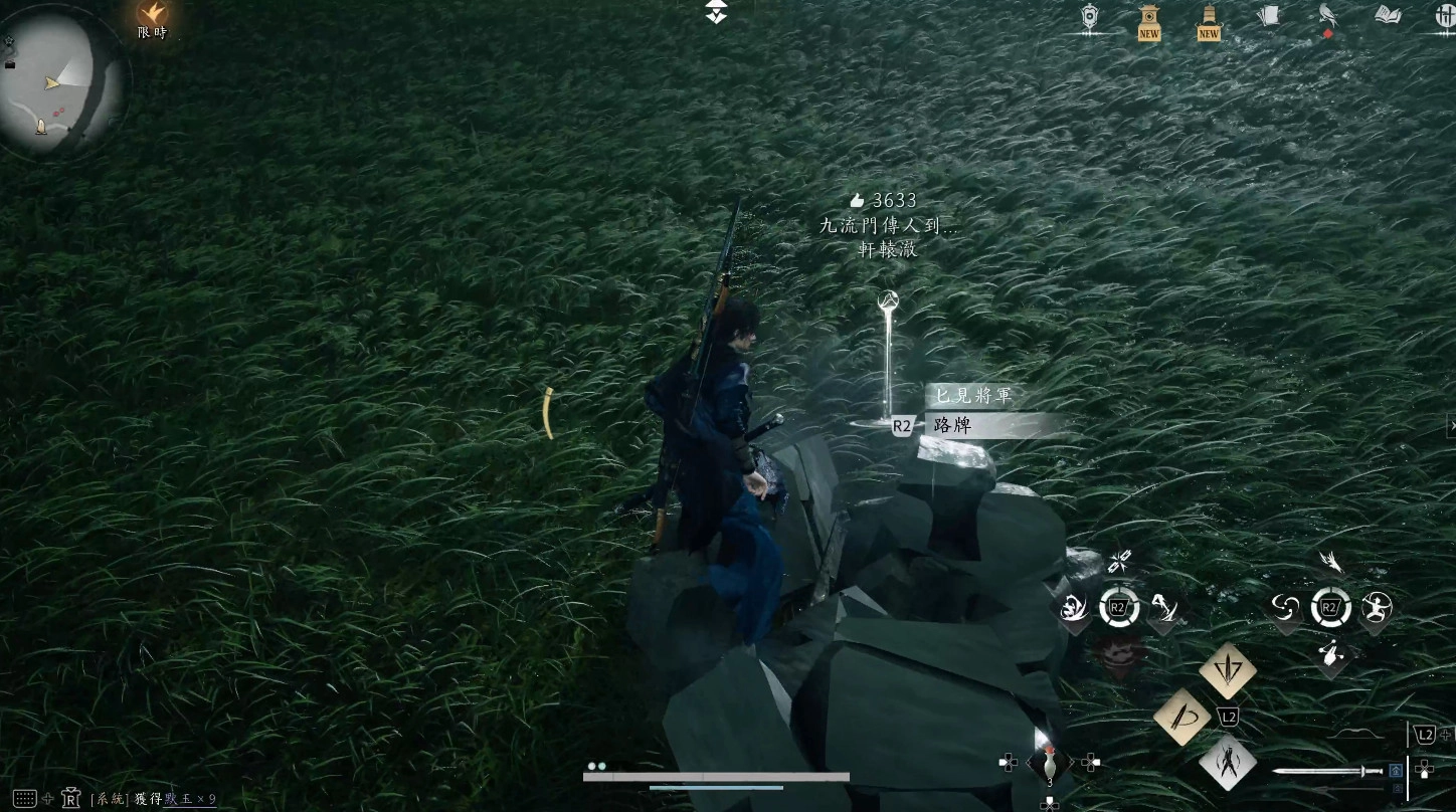 匕見將軍通常藏在石頭堆裡面