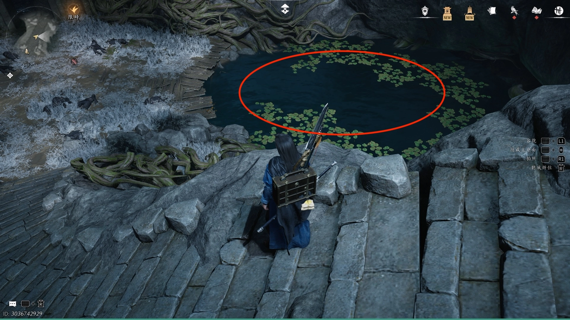 從這個水池潛下去可以尋找第二個存放信件碎片的寶箱