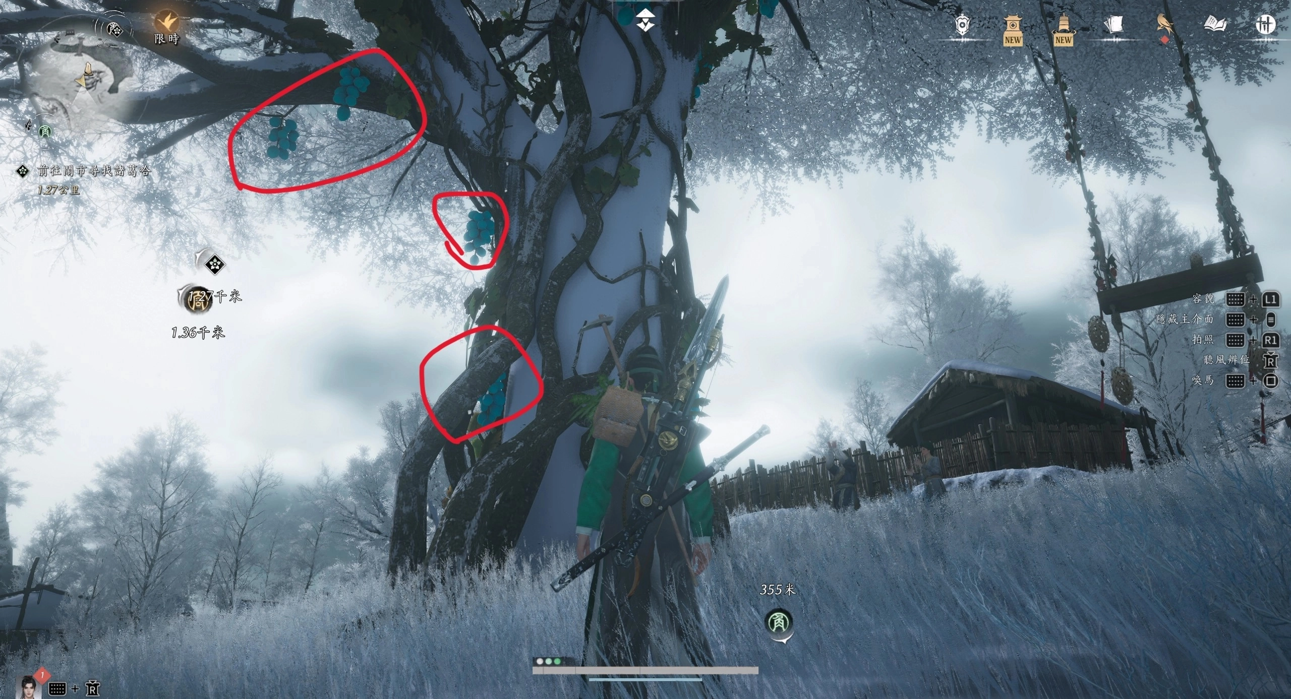 先解完「馬角烏白」的任務，藤王村的村入口大樹才會有葡萄可以摘採