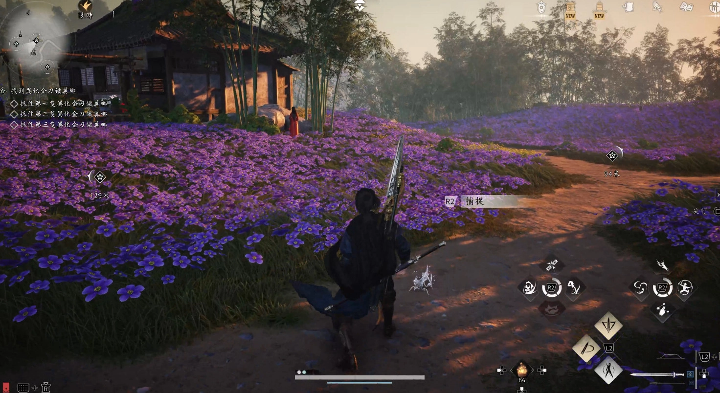 金刀鐵翼螂取得方式是在牠要逃跑時捕捉